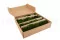 Mini Mousse Boule stabilis&eacute;e Nature Green (Bo&icirc;te) 2