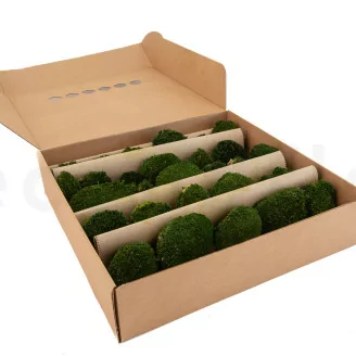 Mini Mousse Boule stabilis&eacute;e Nature Green (Bo&icirc;te)