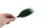 Posy Asparagus preservado (x20) 3