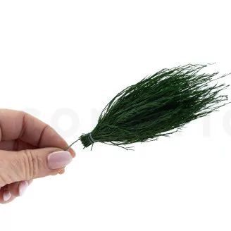 Konservierter Asparagus Posy (x20)