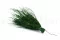 Posy Asparagus preservado (x20) 4