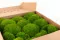 Mousse Boule Light Green stabilis&eacute;e (Bo&icirc;te) 6