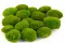 Musgo Bola preservado Light Green (Caja) 7