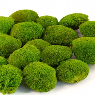 Mousse Boule Light Green stabilis&eacute;e (Bo&icirc;te)