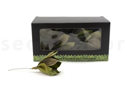 Posy Foglie Velvet stabilizzate (x15)