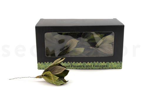Velvet Leaves Posy Preserved - 15 Units - Green