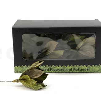 Preserved Velvet Leaves Posy (x15)