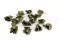 Posy Feuilles Velvet stabilis&eacute;es Vert (x15) 2