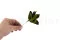 Posy Feuilles Velvet stabilis&eacute;es Vert (x15) 3