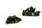 Posy Hojas Velvet preservadas Verde (x15) 5