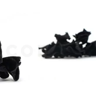 Posy Hojas de Tipuchina preservadas Negro (x10)