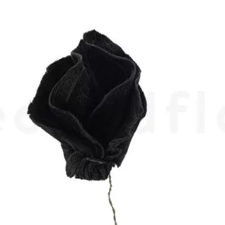 Posy Hojas de Tipuchina preservadas Negro (x10)