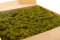 Lichen stabilis&eacute; Medium Green (Bo&icirc;te) 4