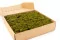 Lichen stabilis&eacute; Medium Green (Bo&icirc;te) 2