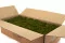 Lichene stabilizzato Medium Green (Cartone Sfuso) 3