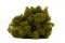 Liquen preservado Medium Green (Cart&oacute;n a granel) 4