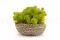 Lichen stabilis&eacute; Lime Green (Carton) 5