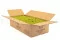 Preserved Reindeer Moss Lime Green (Bulk Box) 2