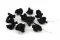 Posy Hojas de Tipuchina preservadas Negro (x10) 2