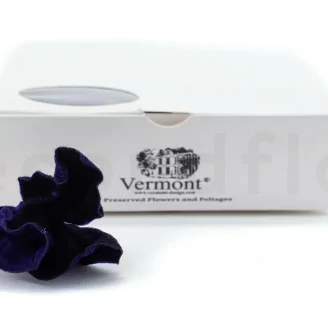 Posy Feuilles Tipuchina stabilis&eacute;es Violet (x10)
