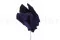 Posy Hojas de Tipuchina preservadas Morado (x10) 7