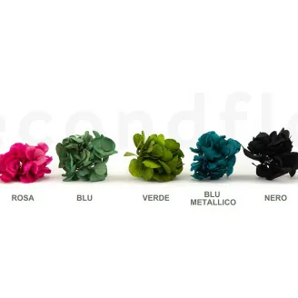 Posy Ortensia stabilizzata Nero (x20)