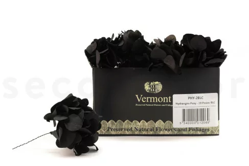 Posy Hortensia Preservado - 20 Unidades - Negro