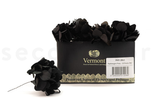Posy Ortensia Preservata - 20 unit&agrave; - Nero
