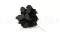 Posy Hortensia Preservado Negro (x20) 5