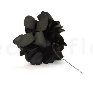 Konservierte Hortensie Posy Schwarz (x20)