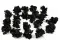 Preserved Hydrangea Posy Black (x20) 2