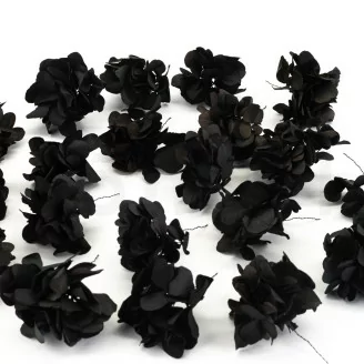 Preserved Hydrangea Posy Black (x20)