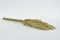 Pampa Grass stabilizzata - Avorio - Lotto di 20 000 steli 5