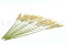 Pampa Grass stabilizzata - Avorio - Lotto di 20 000 steli 2