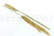 Preserved Pampa Grass - Ivory - Batch of 20 000 stems 9