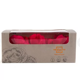 Pivoine stabilis&eacute;e Fuchsia (x3)