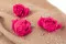 Peonia stabilizzata Fucsia (x3) 6