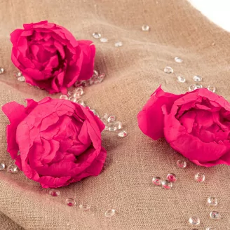 Pivoine stabilis&eacute;e Fuchsia (x3)
