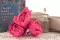 Preserved Peony Fuchsia (x3) 9