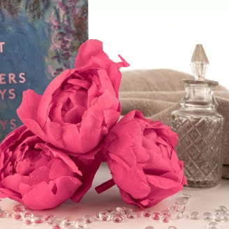Pivoine stabilis&eacute;e Fuchsia (x3)