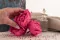 Preserved Peony Fuchsia (x3) 4