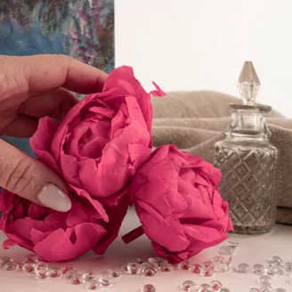 Pivoine stabilis&eacute;e Fuchsia (x3)