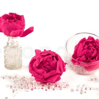 Pivoine stabilis&eacute;e Fuchsia (x3)