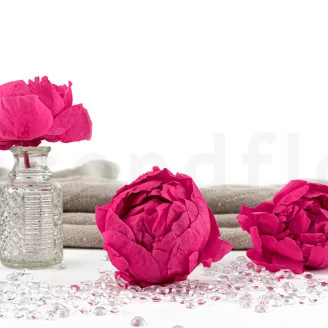 Peon&iacute;a preservada Fucsia (x3)