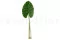 Hoja de Alocasia artificial 3