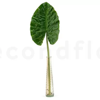 Artificial Alocasia Leaf