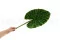 Feuille d'Alocasia artificielle 5