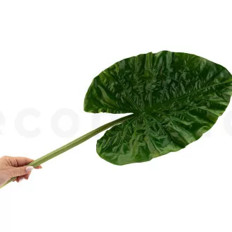Foglia di Alocasia artificiale