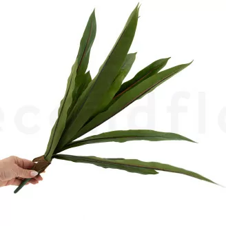 Artificial Asplenium