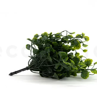 Dichondra artificielle